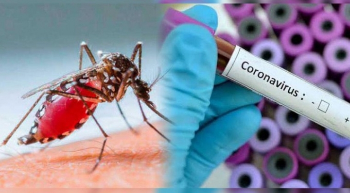 0_dengue-y-coronavirus.jpg
