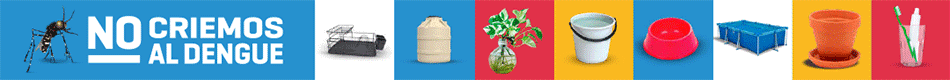 1184_950x80-dengue.gif
