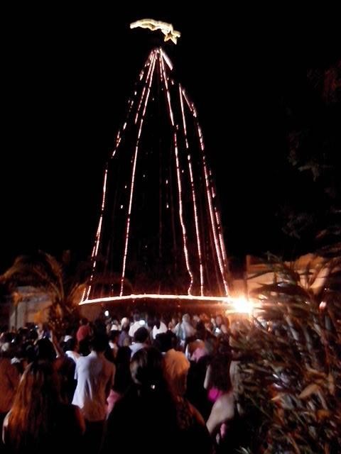 0_arbol-de-navidad-en-la-plaza.jpg