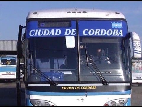 0_colectivo-ciudad-de-cordoba-480x360.jpg