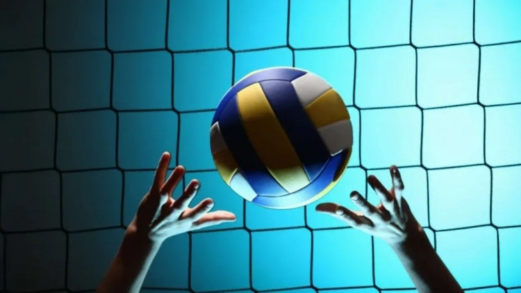 1135_voley.jpg