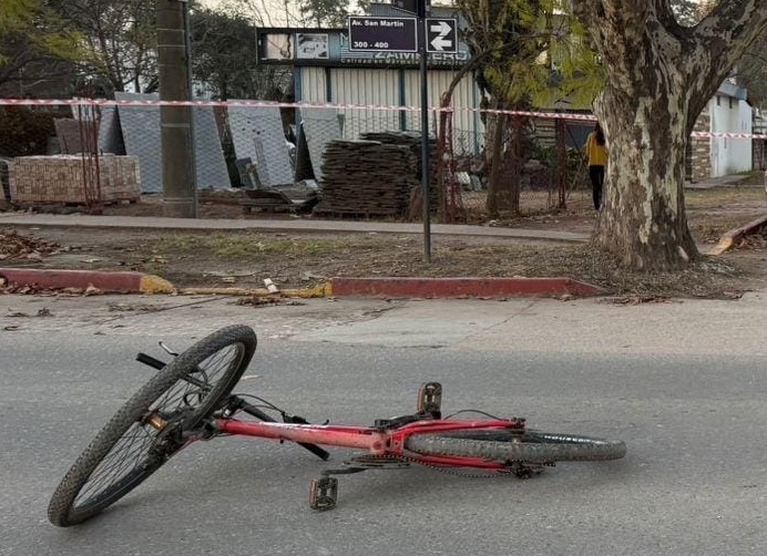 1173_bici-cc.jpg
