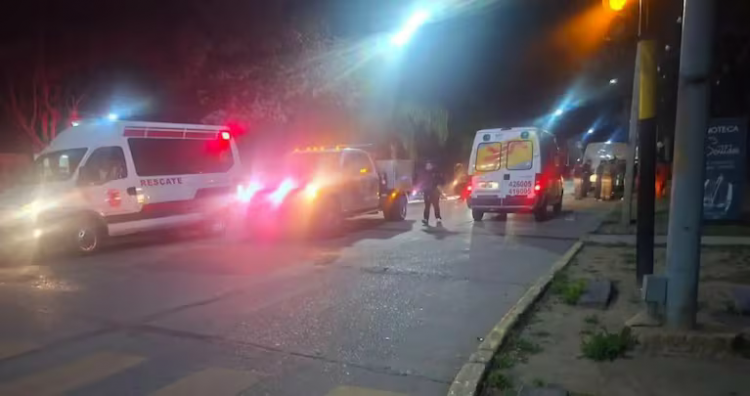 1245_img_1463.png