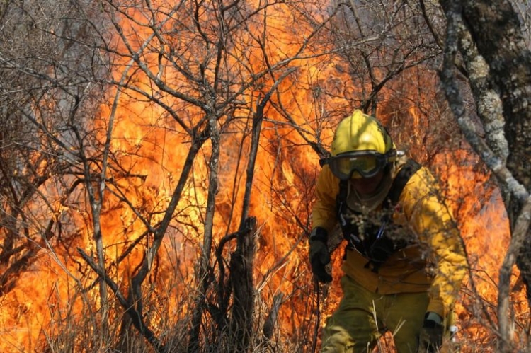 47_incendio-en-san-jose-de-la-dormida-caminiaga-1.jpg