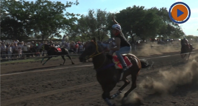 0_hipodromo-dean-funes-2019-caballo.jpg