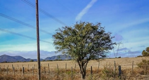 1130_postes-san-pedro-norte.jpg