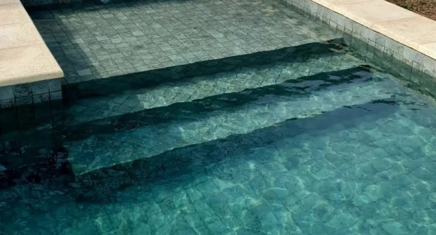1134_pisc.jpg