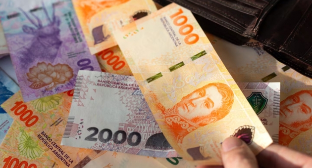 447_el-peso-argentino-fue-la-moneda-que-mas-se-fortalecio-a-nivel-mundial-en-2024-foto-adobe-stock-hwtt36h2dzf4tmggxcr4g7bfoy.jpg