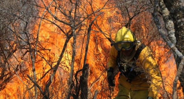 47_incendio-en-san-jose-de-la-dormida-caminiaga-1.jpg